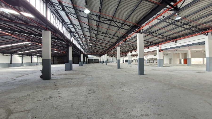 To Let commercial Property for Rent in Epping Industrial Western Cape